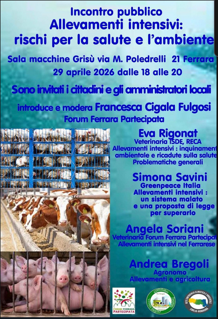 Allevamenti intensivi, ridchi per la salute e l'ambiente