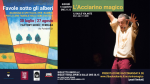 L'Acciarino magico
